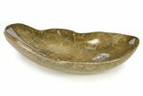 Polished Fossil Coral (Actinocyathus) Dish - Morocco #294069-1